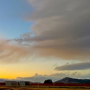 Come check out @ejflight ! Great authentic items!